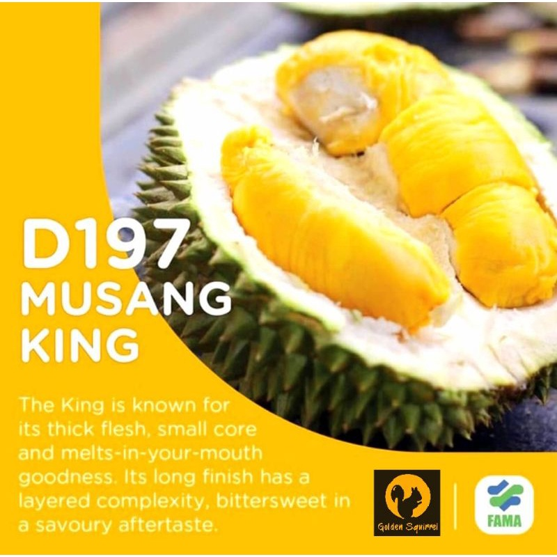 Musang King Grade AAA Fresh Durian Pulp