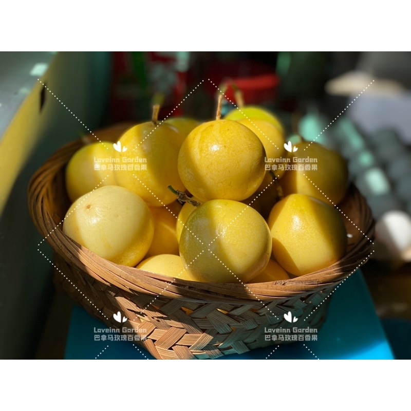 rose passion fruit